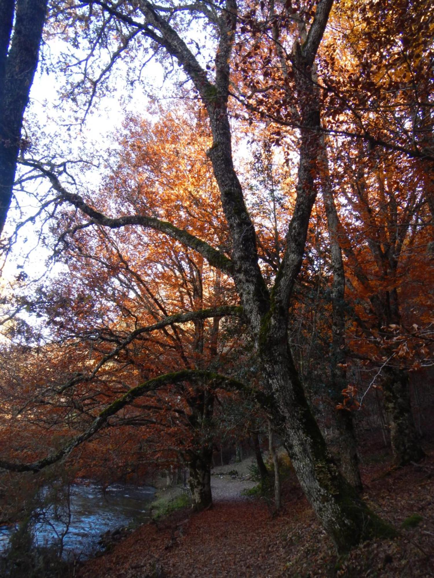 Alojamiento Rural Fuente Del Arca Pradena del Rincon Exterior foto